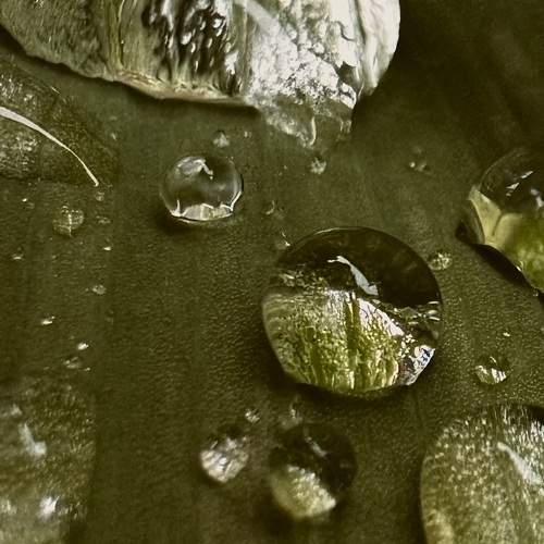 Photo #9305140