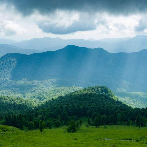 Photo #9305155