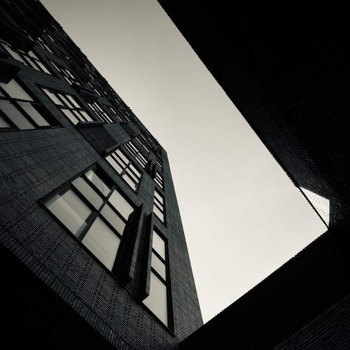 Photo #9305158