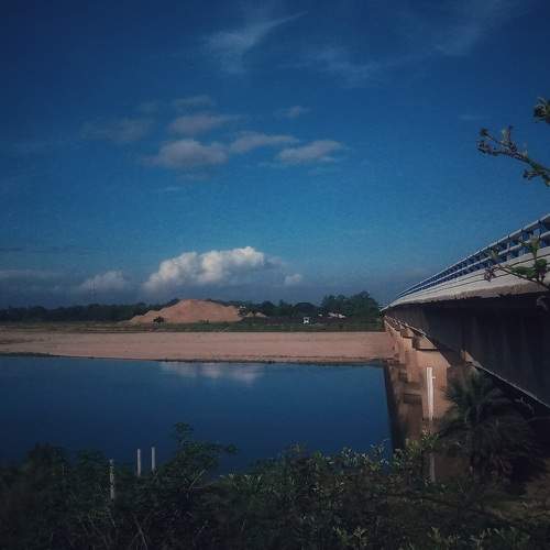Photo #9305239