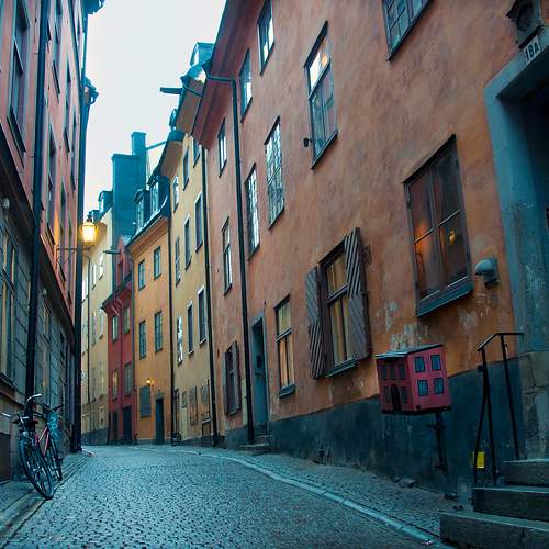 Photo #9305250
