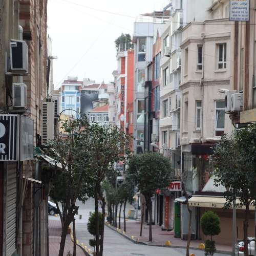Photo #9305591