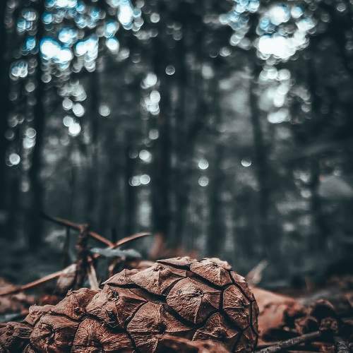 Photo #9305635