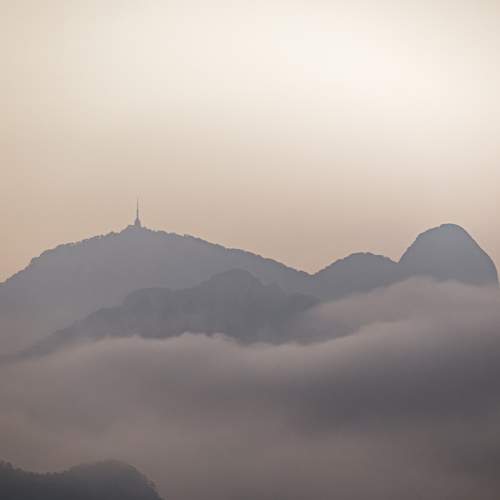 Photo #9305673