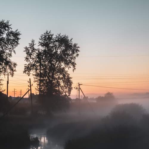 Photo #9305688