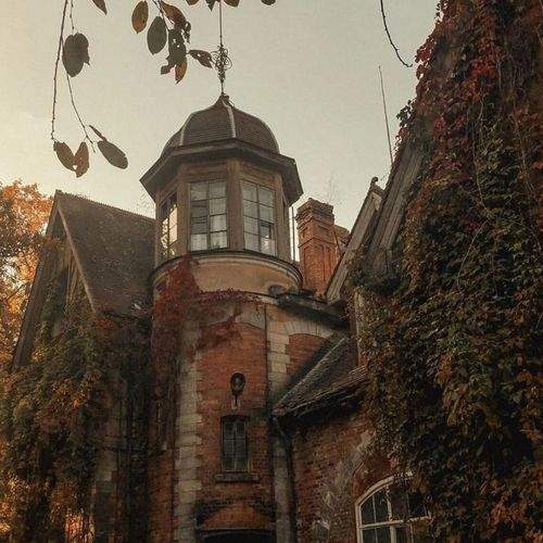 Photo #9305762