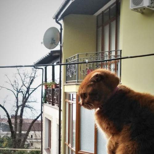 Photo #9306337