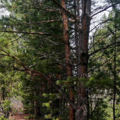Photo #9306681