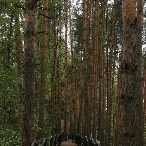 Photo #9306715