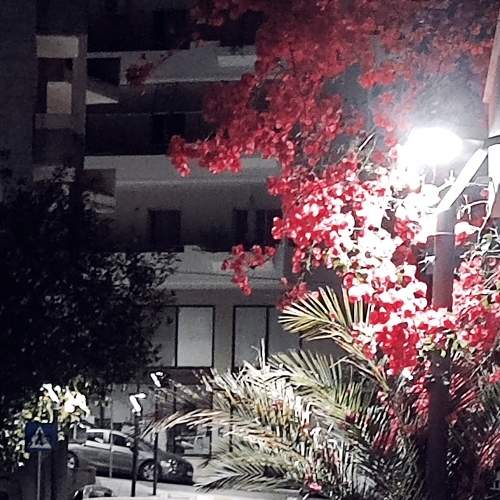Photo #9306823
