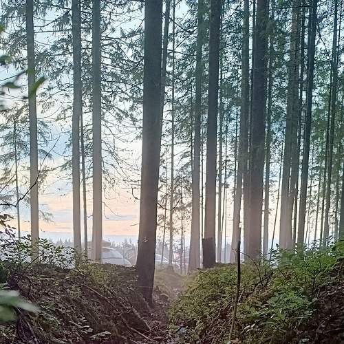 Photo #9306881