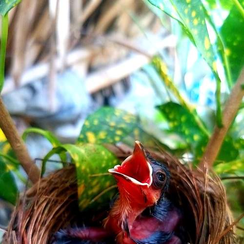 Photo #9306941