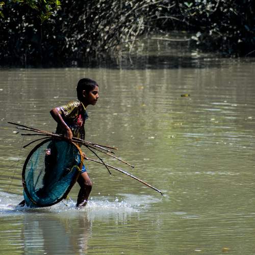 Photo #9306993