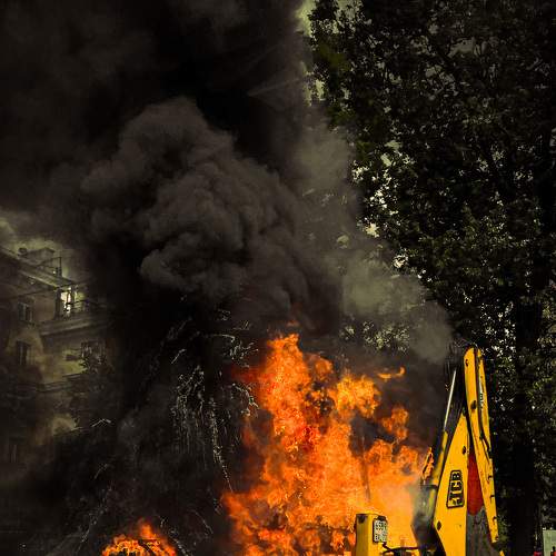 Photo #9307599