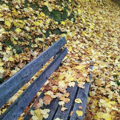 Photo #9307606