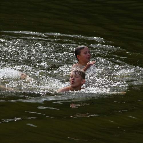 Photo #9307795