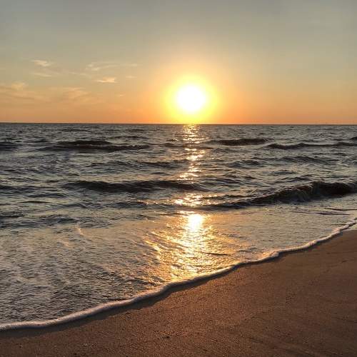 Photo #9308159