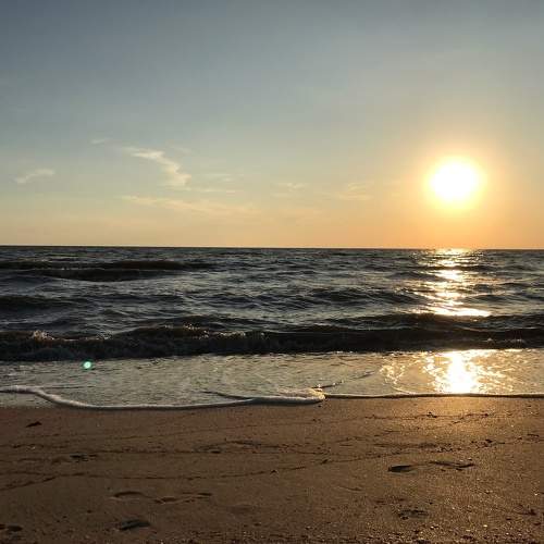 Photo #9308161
