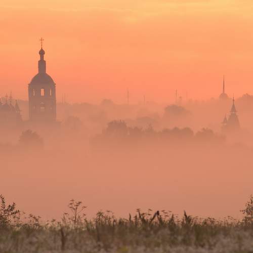 Photo #9309272