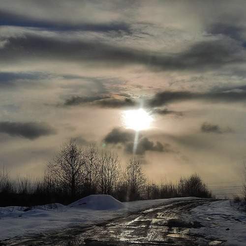 Photo #9309462