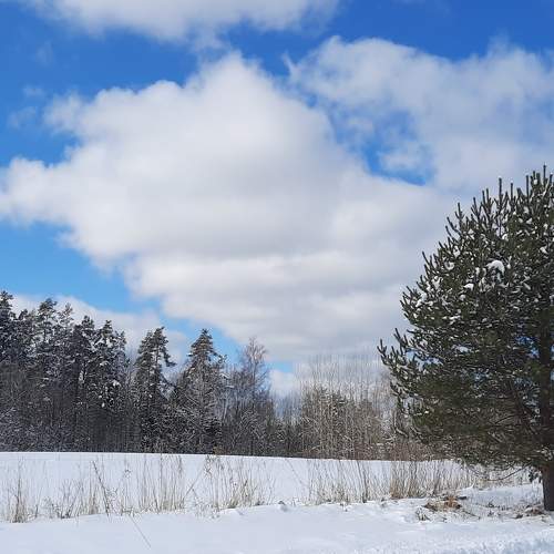 Photo #9309463