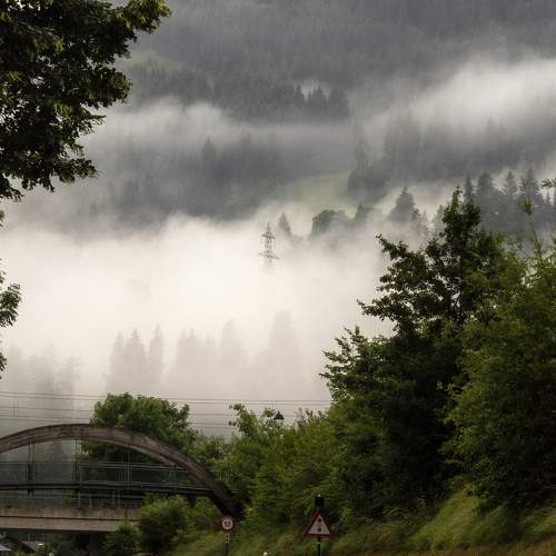 Photo #9309636
