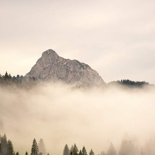 Photo #9309640