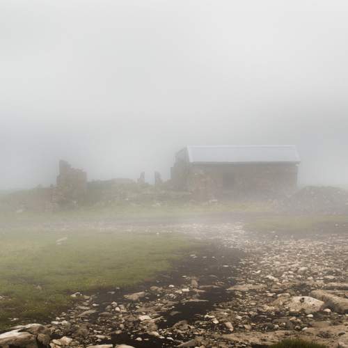 Photo #9310489