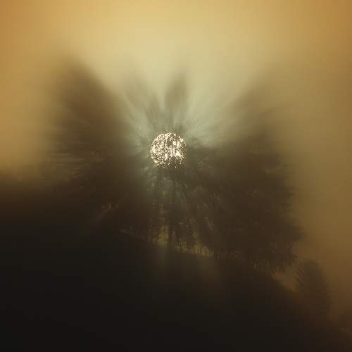 Photo #9310920