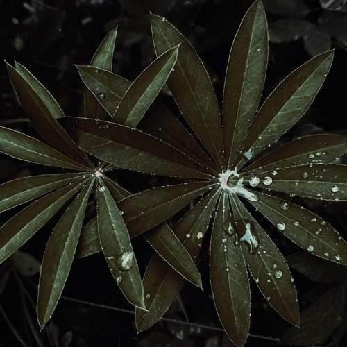 Photo #9311730