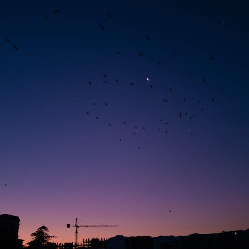 Photo #9311753
