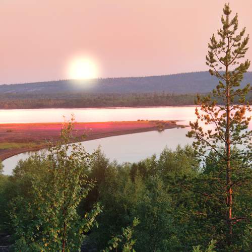 Photo #9311774