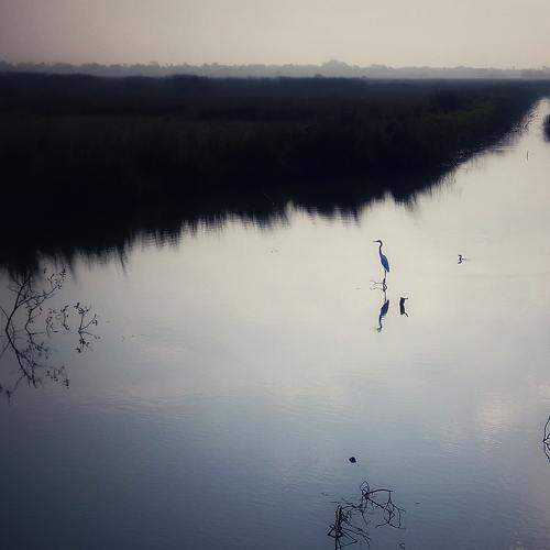 Photo #9311971