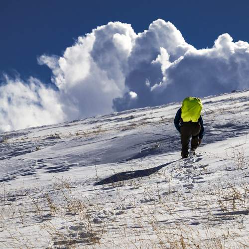 Photo #9312439