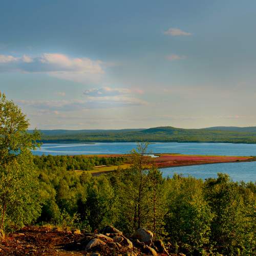 Photo #9312445