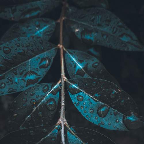 Photo #9312589
