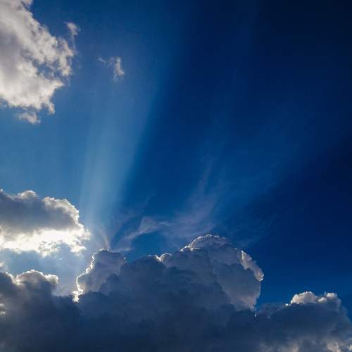 Photo #9312774