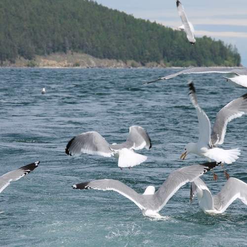 Photo #9312860