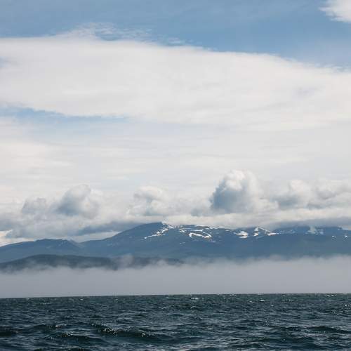 Photo #9312870
