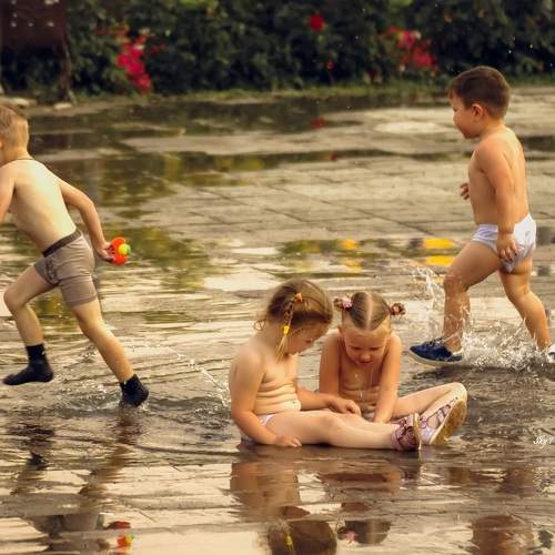 Photo #9312942