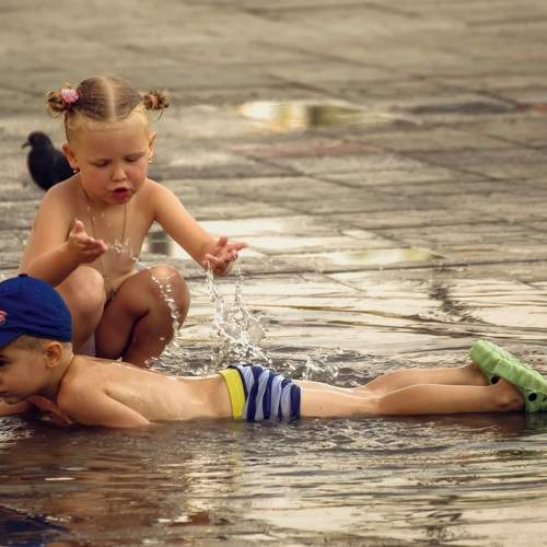 Photo #9312946