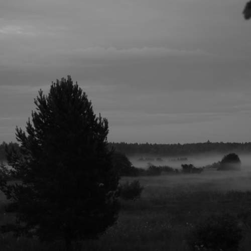 Photo #9313171