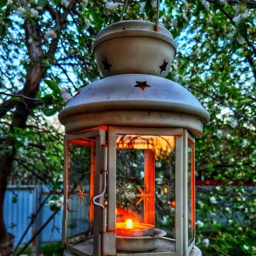 Photo #9313213