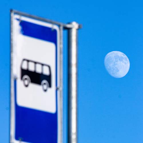 Photo #9313262