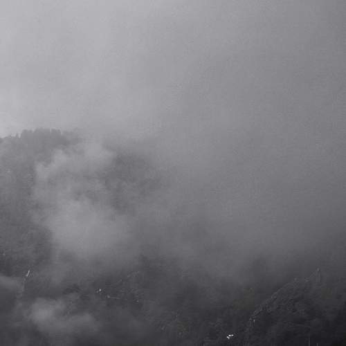 Photo #9313279