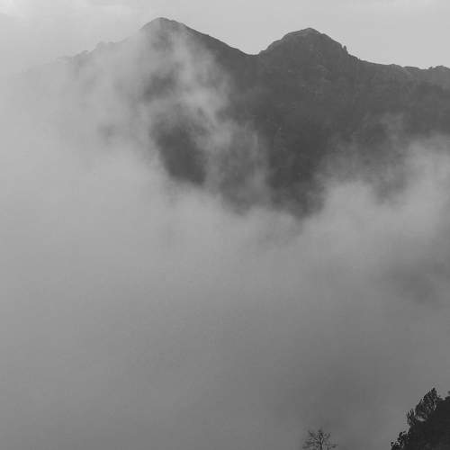 Photo #9313280