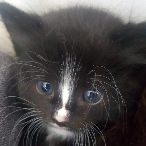 Photo #9313825