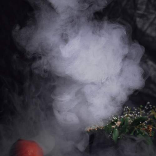 Photo #9313831