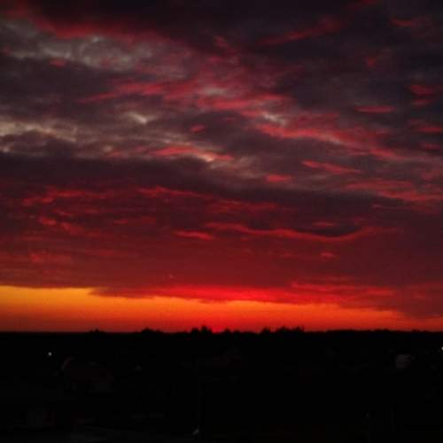 Photo #9314033