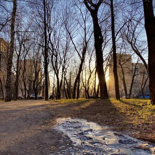 Photo #9314346